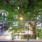 室内に大きな木が生える一軒家カフェ「THE TREE」でランチ＠トンローsoi49